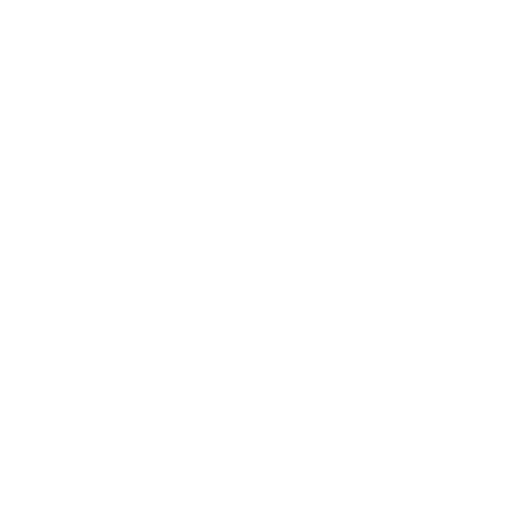 Special Needs Care